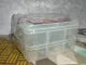 18 section 2 and 3 layers Jewelry box/organizer total adjustable clear plastic